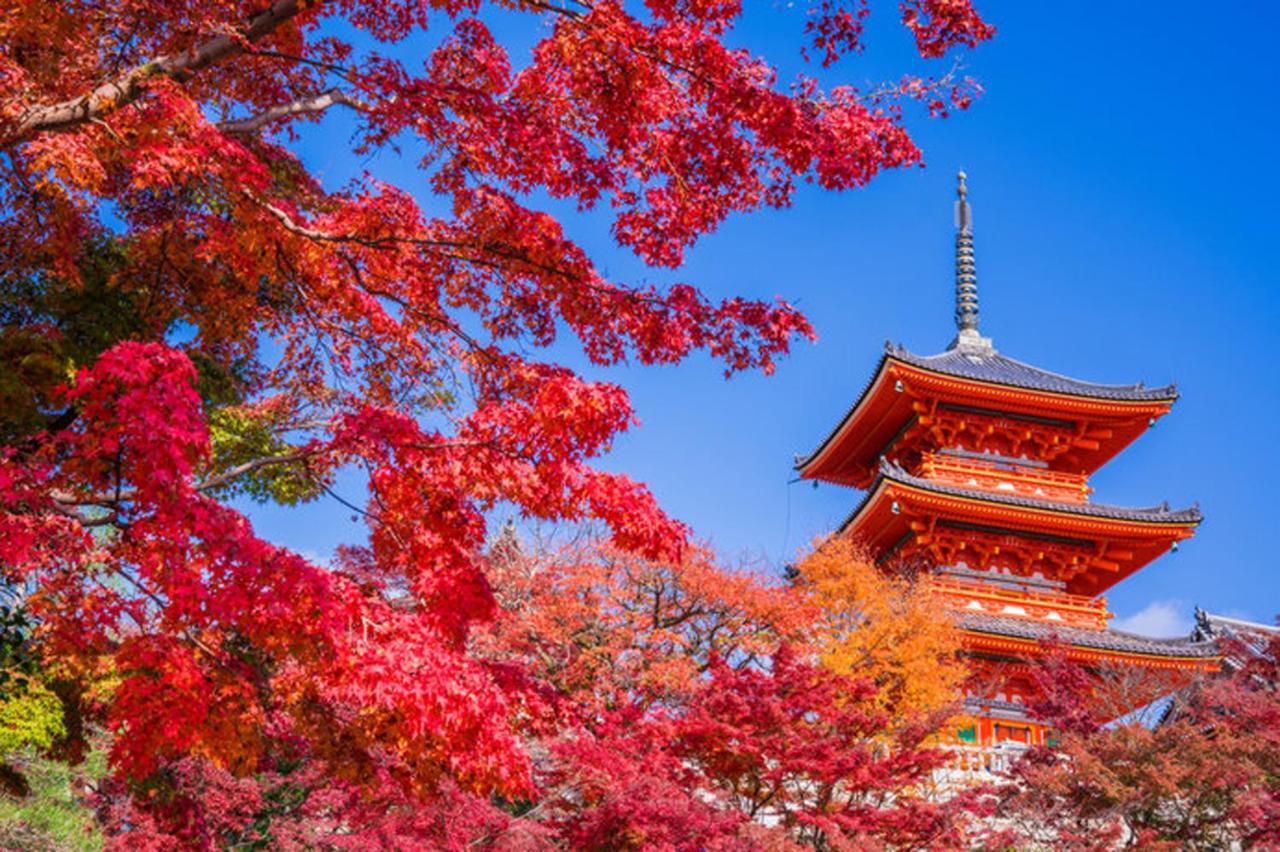 中川西 地下鉄今里駅一戸建 Samurai House Guest House Imazato 難波直通 最大7名 Осака Екстер'єр фото